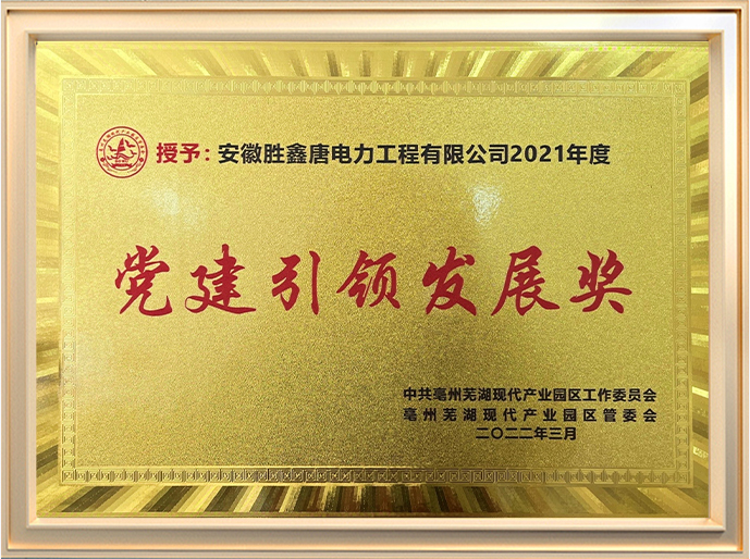 党建引领发展奖2021年度