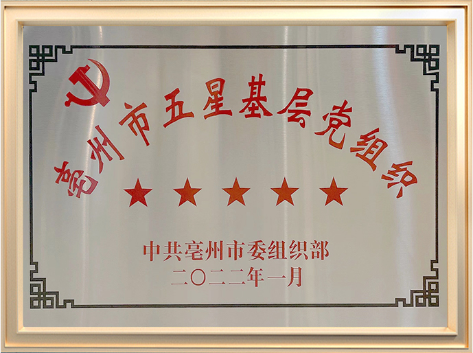亳州市五星基层党组织